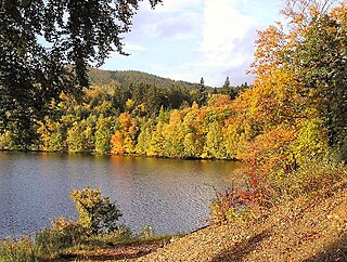 <span class="mw-page-title-main">Loch Faskally</span> Reservoir in Perth and Kinross, Scotland