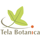 Tela Botanica: Contexte, Historique, Objectifs