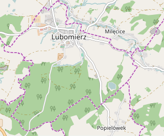 Mapa konturowa Lubomierza, u góry nieco na lewo znajduje się punkt z opisem „Kościół Wniebowzięcia Najświętszej Marii Panny i Świętego Maternusaw Lubomierzu”