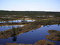 Bagno Männikjärve