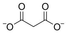 Chemical structure of the malonate dianion. Malonate.png