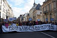 Мітинг на підтримку одностатевих шлюбів в Парижі 16 лютого 2012