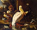 Melchior de Hondecoeter Birds in a Park 1686.jpg