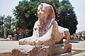 Memphis Sphinx of Amenophis II (9793961683).jpg