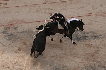 Pablo Hermoso de Mendoza a Arles, amb la postura de La Rose