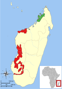 Karte von Madagaskar, vor der Südostküste Afrikas, mit einem Verbreitungsgebiet, das Teile des Westens und Nordwestens umfasst.