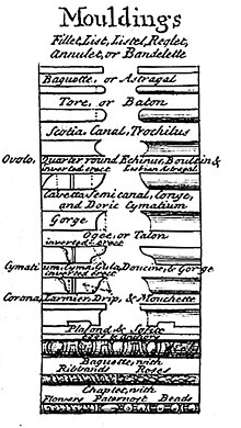 Moldings from 1728 Table of architecture in the Cyclopedia Moldings on the Table of architecture.jpg