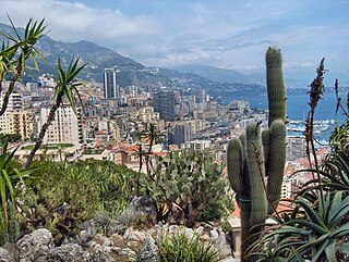 Jardin Exotique de Monaco botanical garden in Monaco