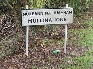 Mullinahone sign.jpg