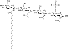 The chemical structure of MycRi-IV (C16:0,S), a Myc factor of Rhizophagus irregularis as indicated in Maillet, F et al. (2011) "Fungal lipochitooligosaccharide symbiotic signals in arbuscular mycorrhiza." Nature 469:58-63. MycRi-IV (C16-0,S).svg