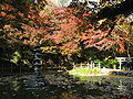 12/2 長野公園・延命寺地区（河内長野市）