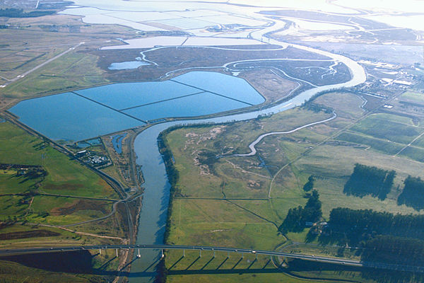 Aerial view of the southern end of the Napa River in the Napa-Sonoma Marsh