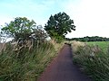 National Cycle Route 75 towards Uddingston (geograph 6966707).jpg