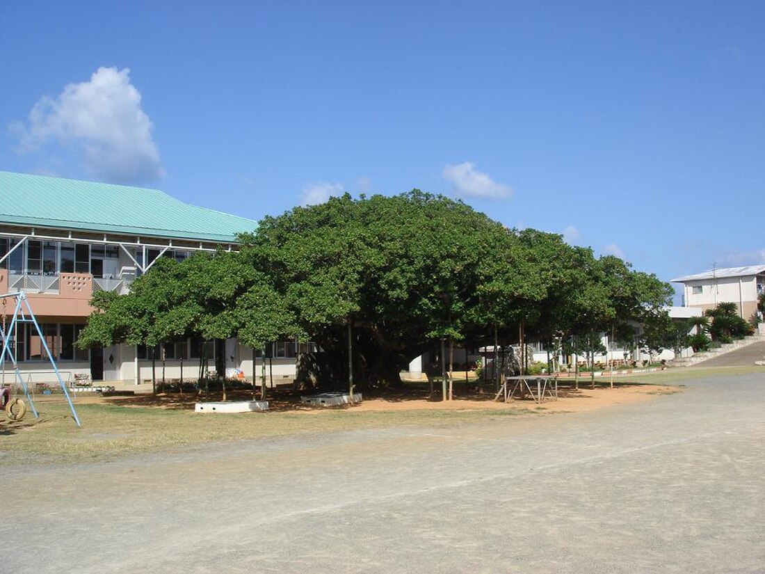 和泊町