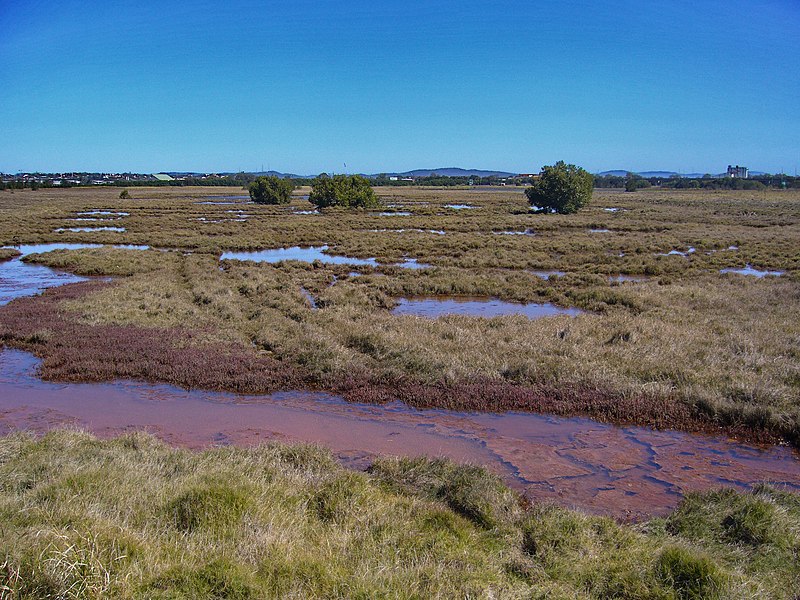 File:Nudgee Bech QLD - panoramio.jpg