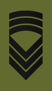 Distinksjon for kommandersersjant i Hæren