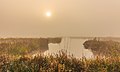 * Nomination Morning fog hangs over 'It Wikelslân. Location, De Alde Feanen in Friesland. (the Netherlands). --Agnes Monkelbaan 05:41, 30 November 2015 (UTC) * Promotion Good quality. --Cccefalon 06:13, 30 November 2015 (UTC)