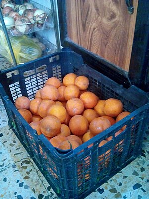 Oranges basket.jpg