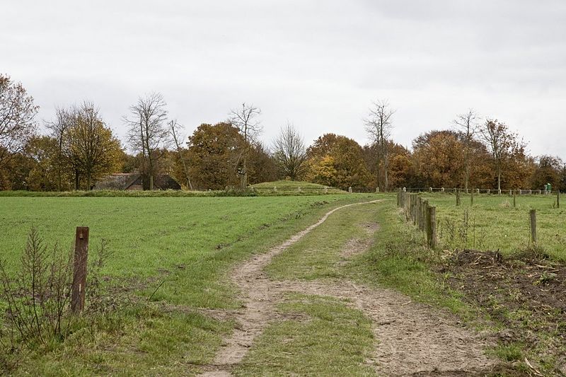 File:Overzicht over Soester Eng, dekzandrug met essen, zicht op grafheuvel met ligging in het landschap - Soest - 20427145 - RCE.jpg