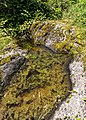 English: Natural monument «Giant's kettle» Deutsch: Naturdenkmal «Gletschertopf»