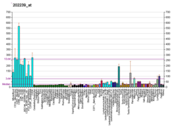 PBB GE PARP4 202239, fs.png'de