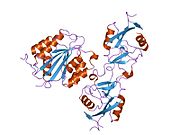 1ijk: The von Willebrand Factor mutant (I546V) A1 domain-botrocetin Complex