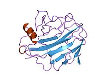 PDB 1oa4 EBI.jpg