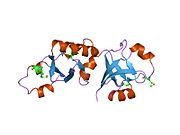 PDB 1t5y EBI.jpg