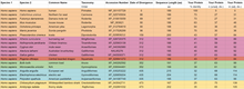 A table comparing the divergence of PRR29 in different species relative to the human gene. PRR29 Orthology.png