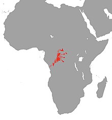 Papyrocranus congoensis Range.jpg
