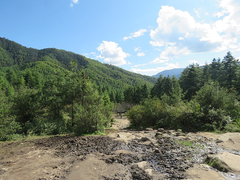 File:Paro Taktsang, Taktsang Palphug Monastery, Tiger's Nest -views from the trekking path- during LGFC - Bhutan 2019 (328).jpg