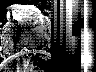 512x192x2 example image with Black & White palette