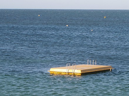 An anchored raft-like platform used for diving, often referred to as a pontoon