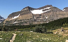 Piegan Mountain mit Piegan Glacier.jpg