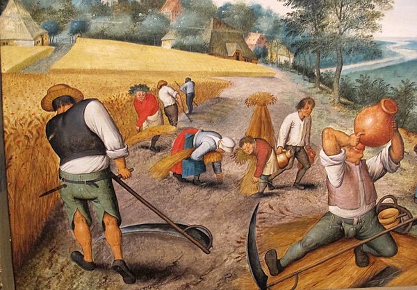 Peasants harvesting crops, by Flemish artist Pieter Brueghel, 17th century