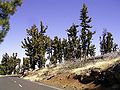 Roque de los Muchachos, Garafía, La Palma