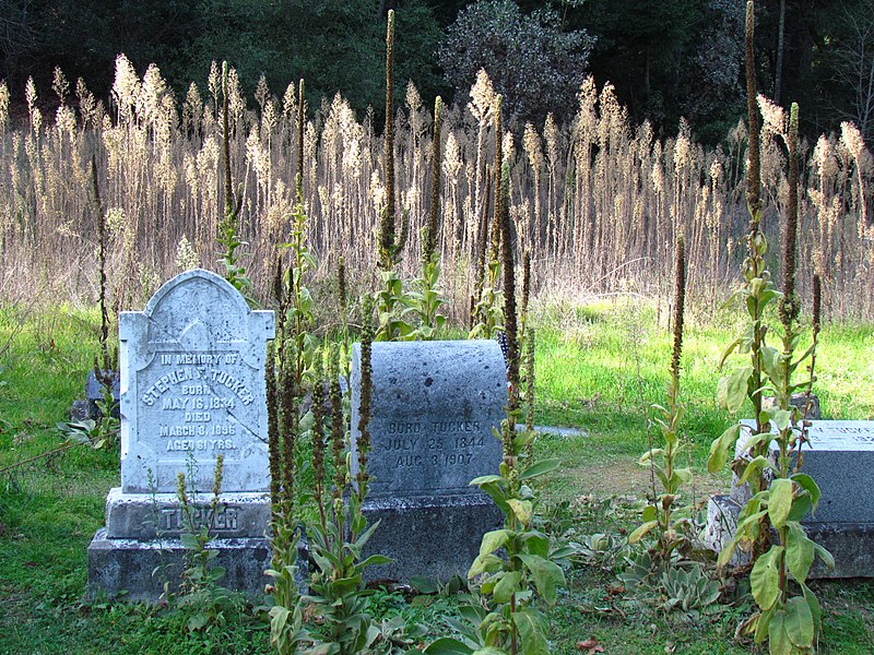 File:Pioneer cemetery Bale Grist Mill SHP.jpg