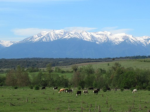 Pirin Mountains (48873082776)