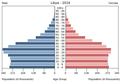 English: The population pyramid of Libya illustrates the age and sex structure of population and may provide insights about political and social stability, as well as economic development. The population is distributed along the horizontal axis, with males shown on the left and females on the right. The male and female populations are broken down into 5-year age groups represented as horizontal bars along the vertical axis, with the youngest age groups at the bottom and the oldest at the top. The shape of the population pyramid gradually evolves over time based on fertility, mortality, and international migration trends. Українська: Віково-статева піраміда населення Лівії за 2014 рік. Вона дає наочне уявлення про вікову і статеву структура населення країни, може слугувати джерелом інформації про політичну і соціальну стабільність, економічний розвиток. Блакитними кольорами ліворуч, у вигляді горизонтальних смуг показані вікові групи (з кроком 5 років кожна) чоловічої статі, праворуч рожевими — жіночої. Наймолодші вікові групи — внизу, найстаріші — вгорі. Форма піраміди поступово еволюціонує з плином часу під впливом чинників народжуваності, смертності і світової міграції.