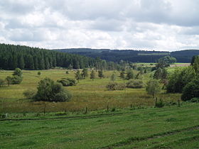 Immagine illustrativa dell'articolo Arboretum du Puy Chabrol