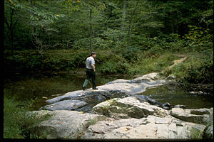 Prince William Forest Park PRWI9792.jpg