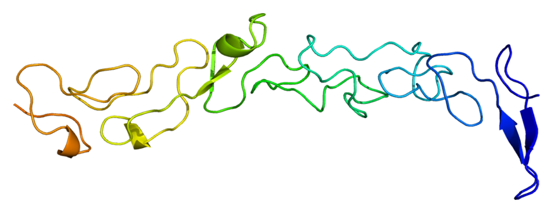 Laminin subunit gamma-1