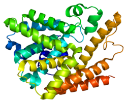 Ақуыз PDE7A PDB 1zkl.png