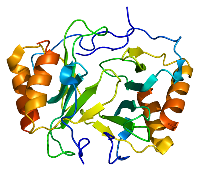 File:Protein PF4 PDB 1f9q.png