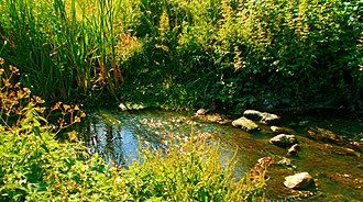 Pyl Brook stream in Hamilton Avenue Recreation Ground Pyl Brook, Hamilton Avenue Recreation Ground, SUTTON, Surrey, Greater London.jpg