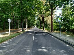 Rüsternstraße