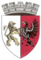 Salonta: insigne