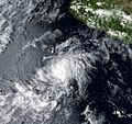 Image of Tropical Storm Rachel of the 1984 Pacific hurricane season on October 10, 1984.