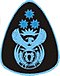 Rank SAAF Chief Warrant Officer.jpg