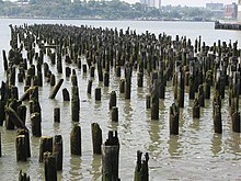 Remnants of Pier 55 in 2010 Remains of Pier 55 - panoramio.jpg